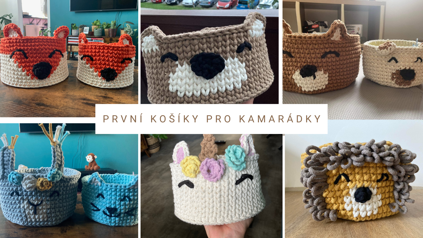 první TLAPKOŠI (2)